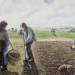 Peasants in the Fields, Eragny